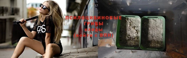 ПСИЛОЦИБИНОВЫЕ ГРИБЫ Абинск