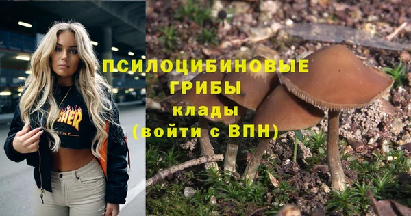 спиды Абаза
