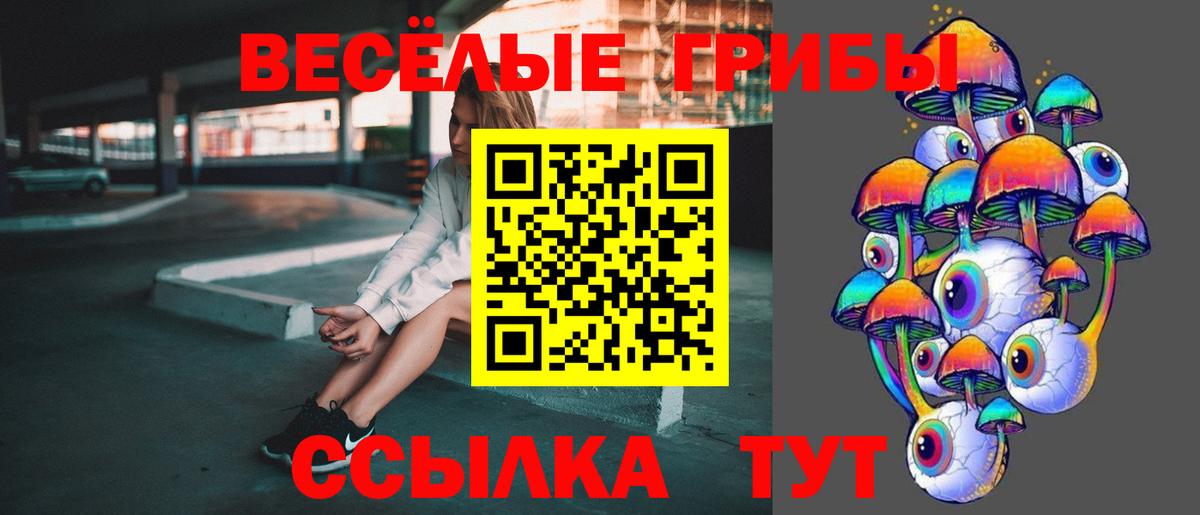 Галлюциногенные грибы Cubensis  Вход с VPN  Грязи  Псилоцибиновые грибы мицелий 